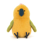 Budgeby Parrot