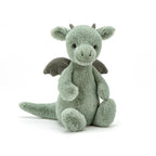 If I Were a Dragon Book & Bashful Dragon Small