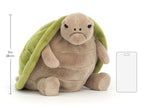 Timmy Turtle
