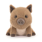 Swinley Boar